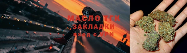 молекула духа Майский