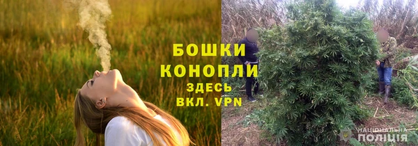 молекула духа Майский