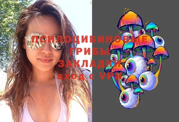 молекула духа Майский